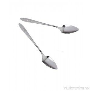 2 Pieces Stainless Steel Grapefruit Serrated Edge Spoon - B01N92I6V0